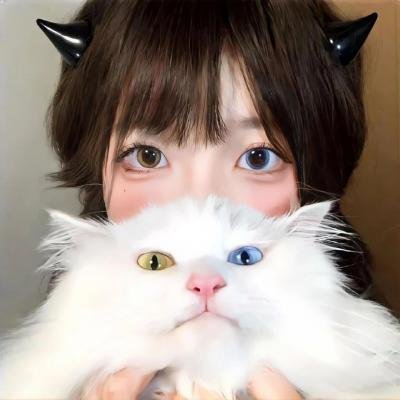 飞吧！蓝色小英雄