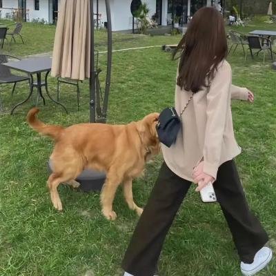 小猪佩奇第三季
