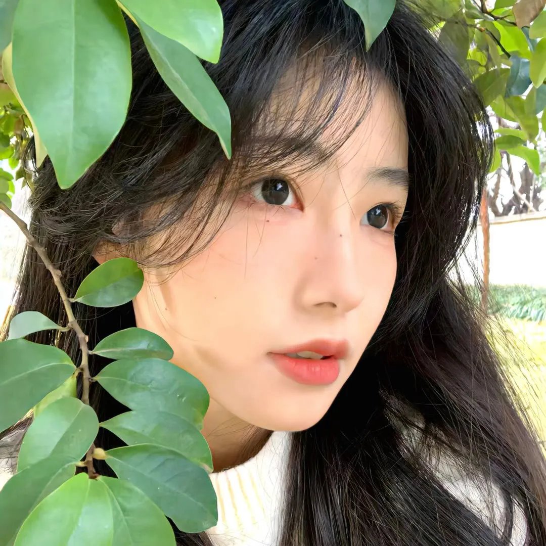 爱与革命